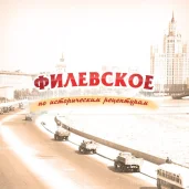 киоск по продаже мороженого айсберри изображение 1 на проекте moekrylatskoe.ru