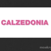 магазин колготок и купальников calzedonia на рублёвском шоссе изображение 2 на проекте moekrylatskoe.ru