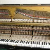 компания комплексного обслуживания фортепиано pianomax изображение 1 на проекте moekrylatskoe.ru