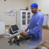 ветеринарный центр веллвет изображение 1 на проекте moekrylatskoe.ru