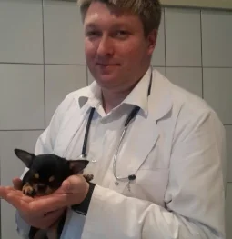 ветеринарный центр веллвет изображение 2 на проекте moekrylatskoe.ru