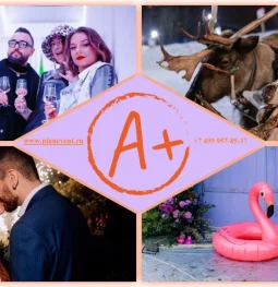 агентство организации праздников plan event agency изображение 1 на проекте moekrylatskoe.ru