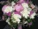 салон цветов и подарков bloomdecor на осеннем бульваре изображение 2 на проекте moekrylatskoe.ru