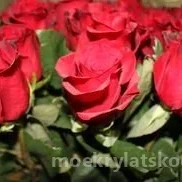 магазин первый цветочный  на проекте moekrylatskoe.ru