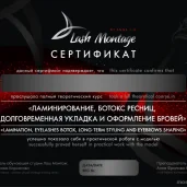 lash montage изображение 4 на проекте moekrylatskoe.ru